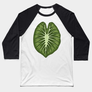 Colocasia white lava big leaf Baseball T-Shirt